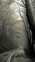 descargar wallpaper de Naturaleza